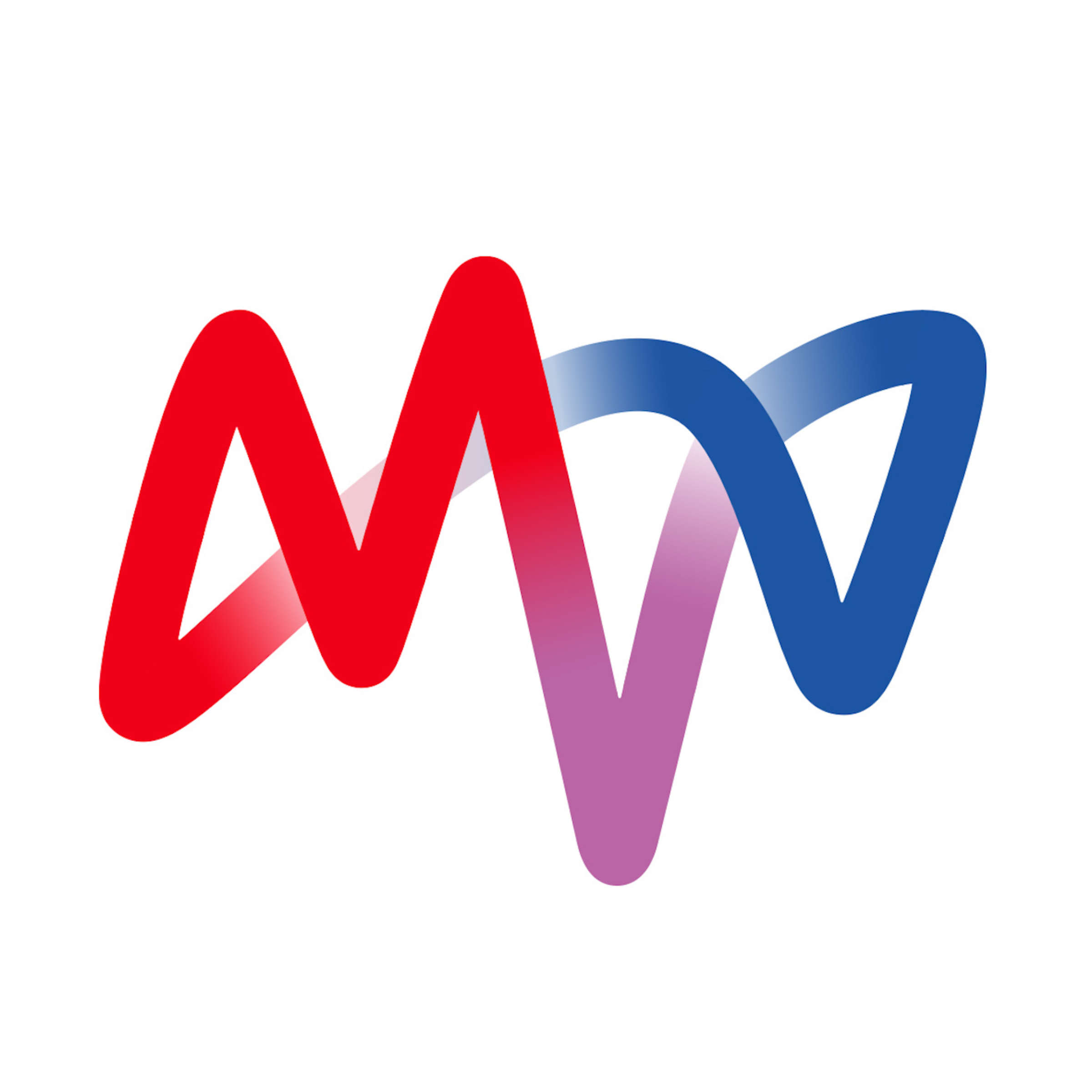 Logo_MVV